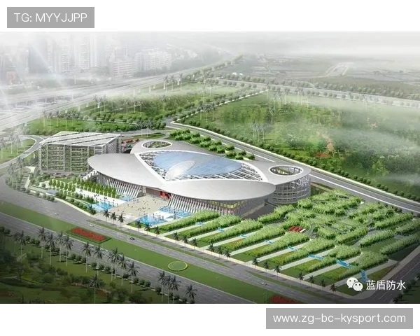 构建区域性体育服务平台协同传播内容信息枢纽,建立区域协同发展平台的意义